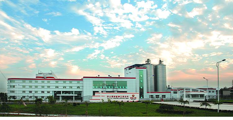 1770083461698 河北1